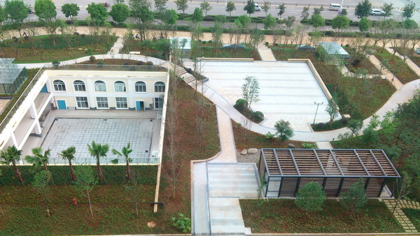 安寧寧湖廣場景觀綠化工程竣工