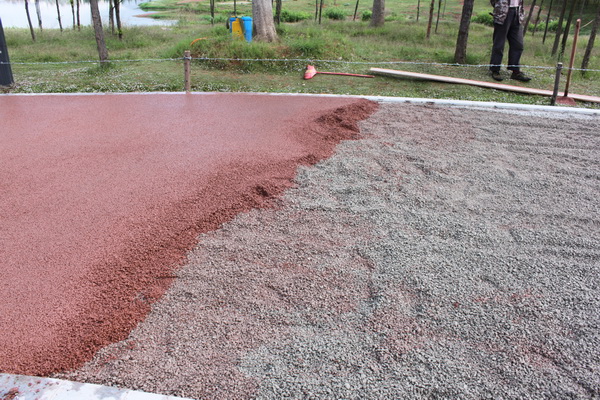 安寧市寧湖公園景觀提升改造設計項目   