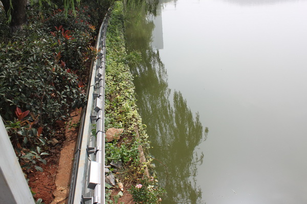 東湖公園景觀提升改造工程