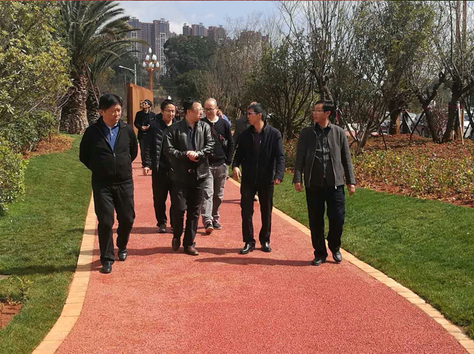 寧湖新城管委會王副主任組織相關(guān)領(lǐng)導到我司監(jiān)理的安寧市寧湖公園及寧湖濕地公園視察