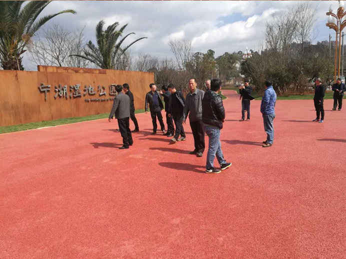 寧湖新城管委會王副主任組織相關(guān)領(lǐng)導到我司監(jiān)理的安寧市寧湖公園及寧湖濕地公園視察