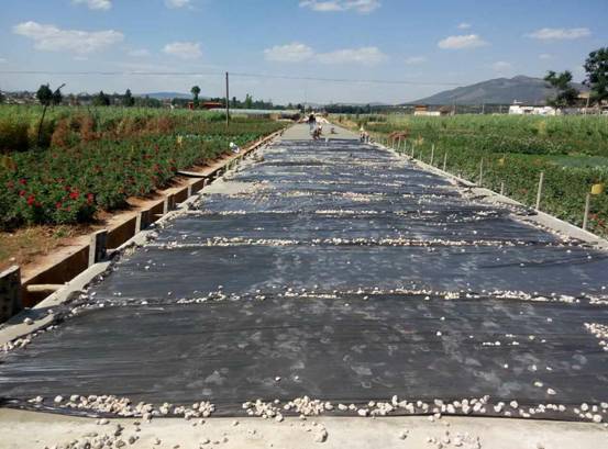 2015年國家農(nóng)業(yè)綜合開發(fā)存量資金土地治理項目云南省安寧市八街街道辦事處高標(biāo)準(zhǔn)農(nóng)田建設(shè)項目??