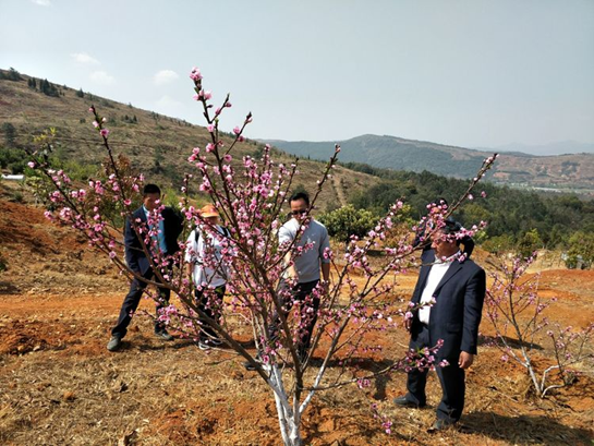 湯郎鄉(xiāng)人大主席張寧同志帶領(lǐng)典文村兩委同志到云南潤(rùn)益農(nóng)業(yè)開發(fā)有限公司參觀學(xué)習(xí)