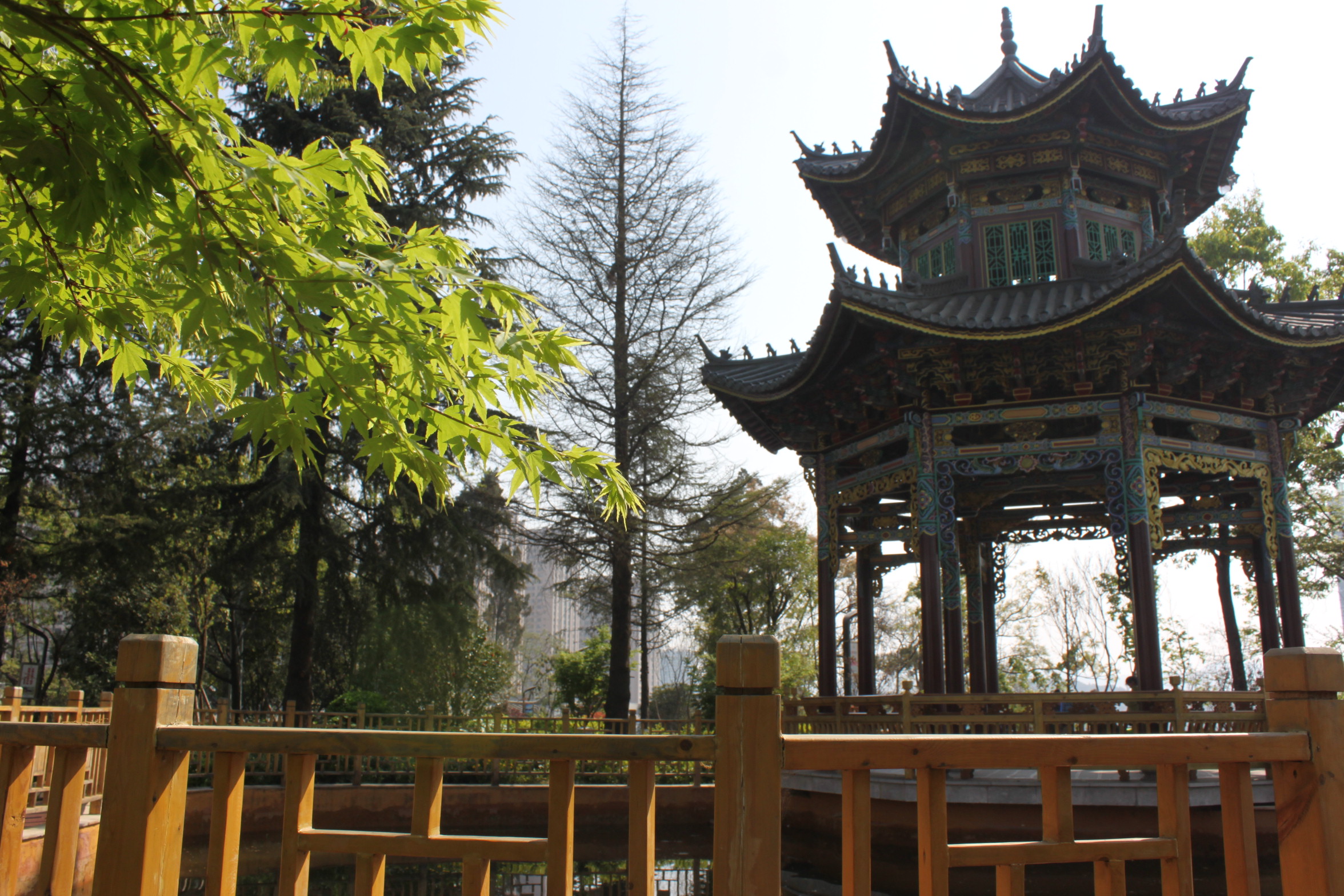 安寧市百花公園（楠園）景觀提升改造工程