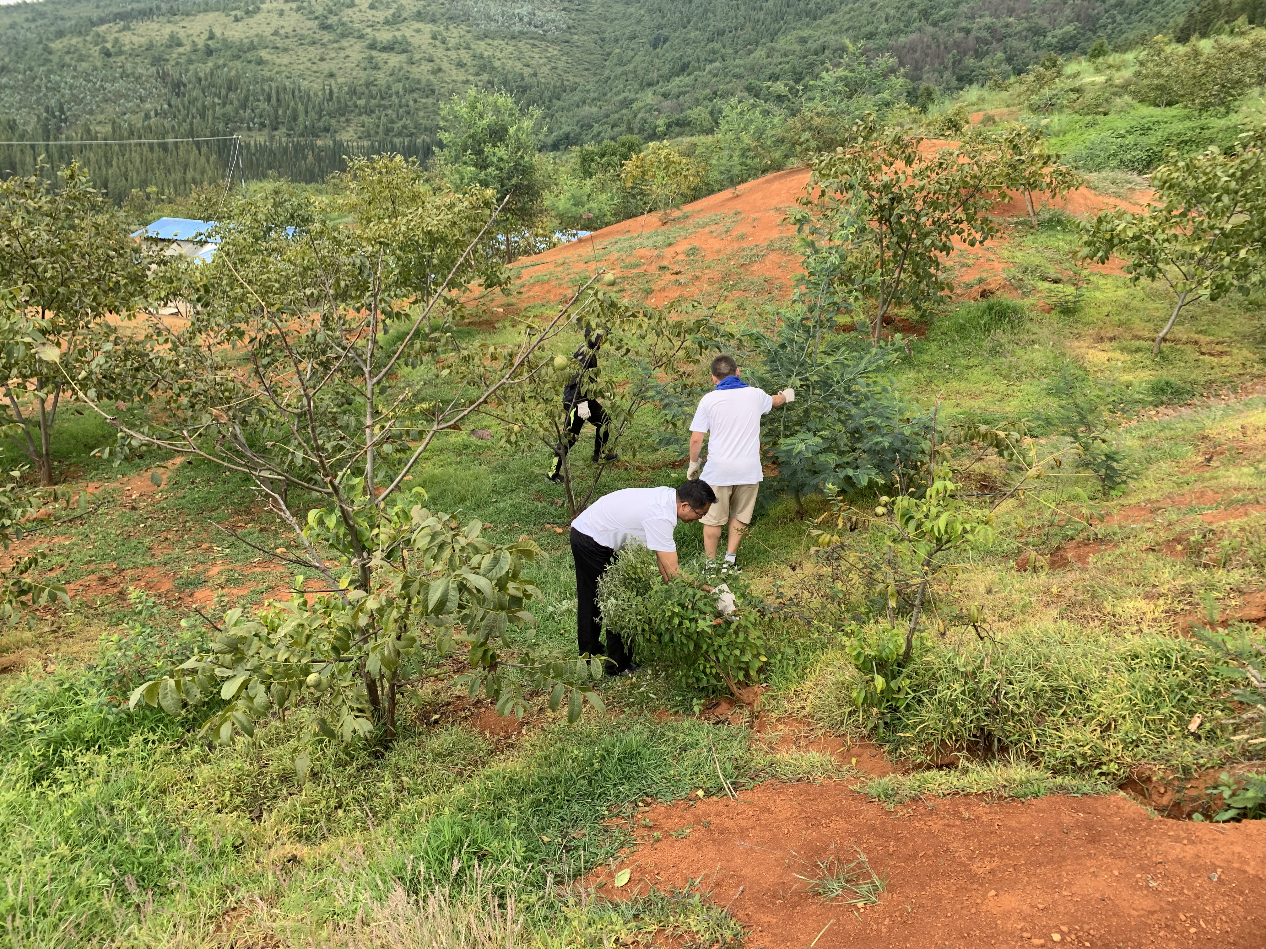 公司后備骨干會議——大石莊林地戶外活動(dòng)