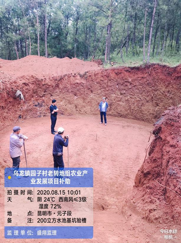 烏龍鎮(zhèn)園子村老轉(zhuǎn)地組農(nóng)業(yè)產(chǎn)業(yè)發(fā)展項目簡報