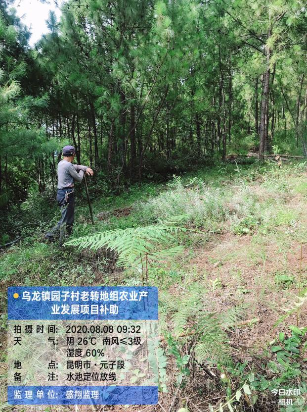 烏龍鎮(zhèn)園子村老轉(zhuǎn)地組農(nóng)業(yè)產(chǎn)業(yè)發(fā)展項目簡報