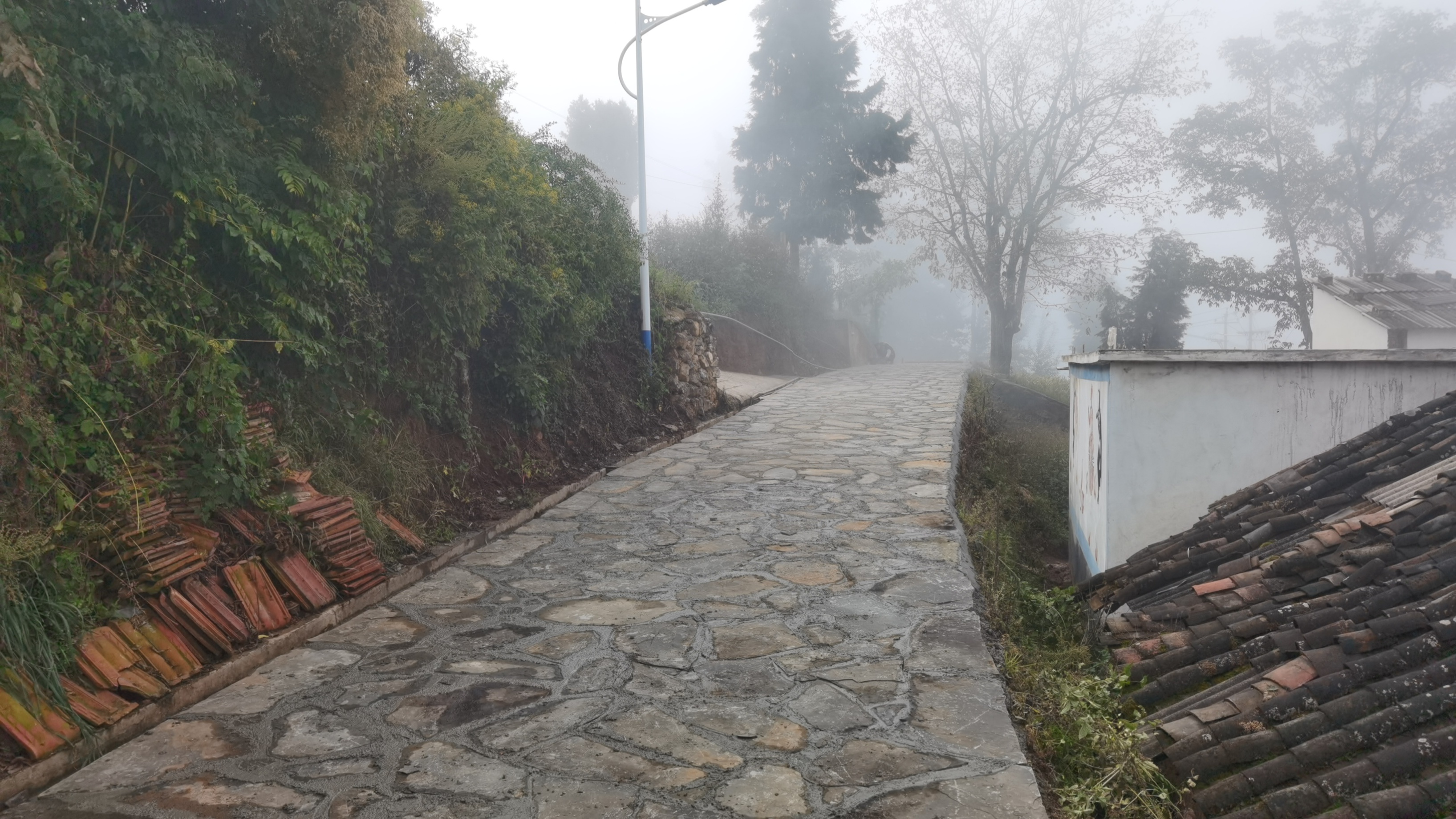 碧谷街道李子溝村、箐口村鄉(xiāng)村基礎(chǔ)設(shè)施建設(shè)項目