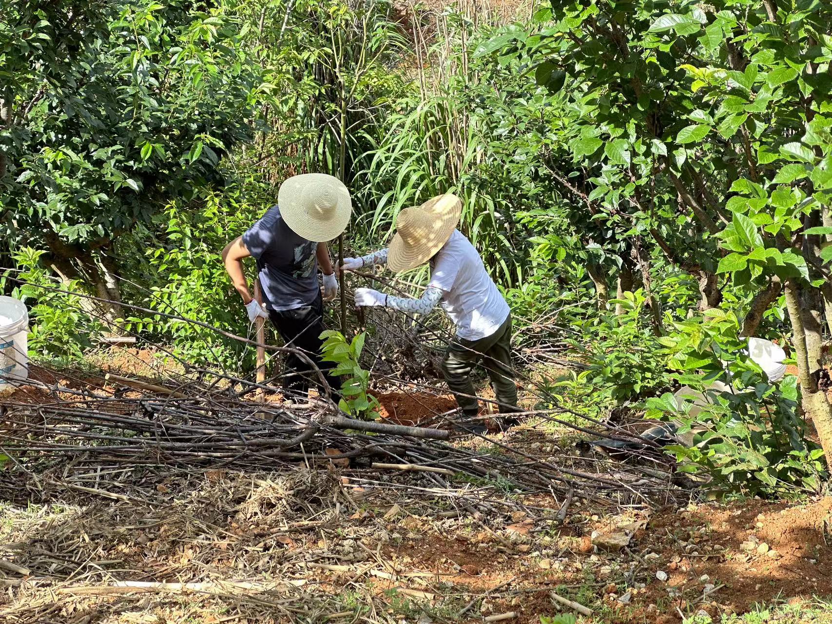 心植希望 播種綠色 ——盛翔監(jiān)理開展戶外活動(dòng)暨慶祝建黨102周年