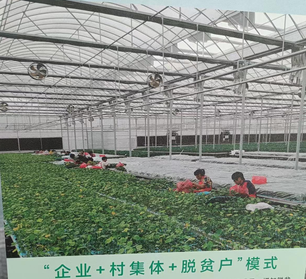 銅都街道炎山、深溝社區(qū)果蔬產(chǎn)業(yè)園建設(shè)項(xiàng)目