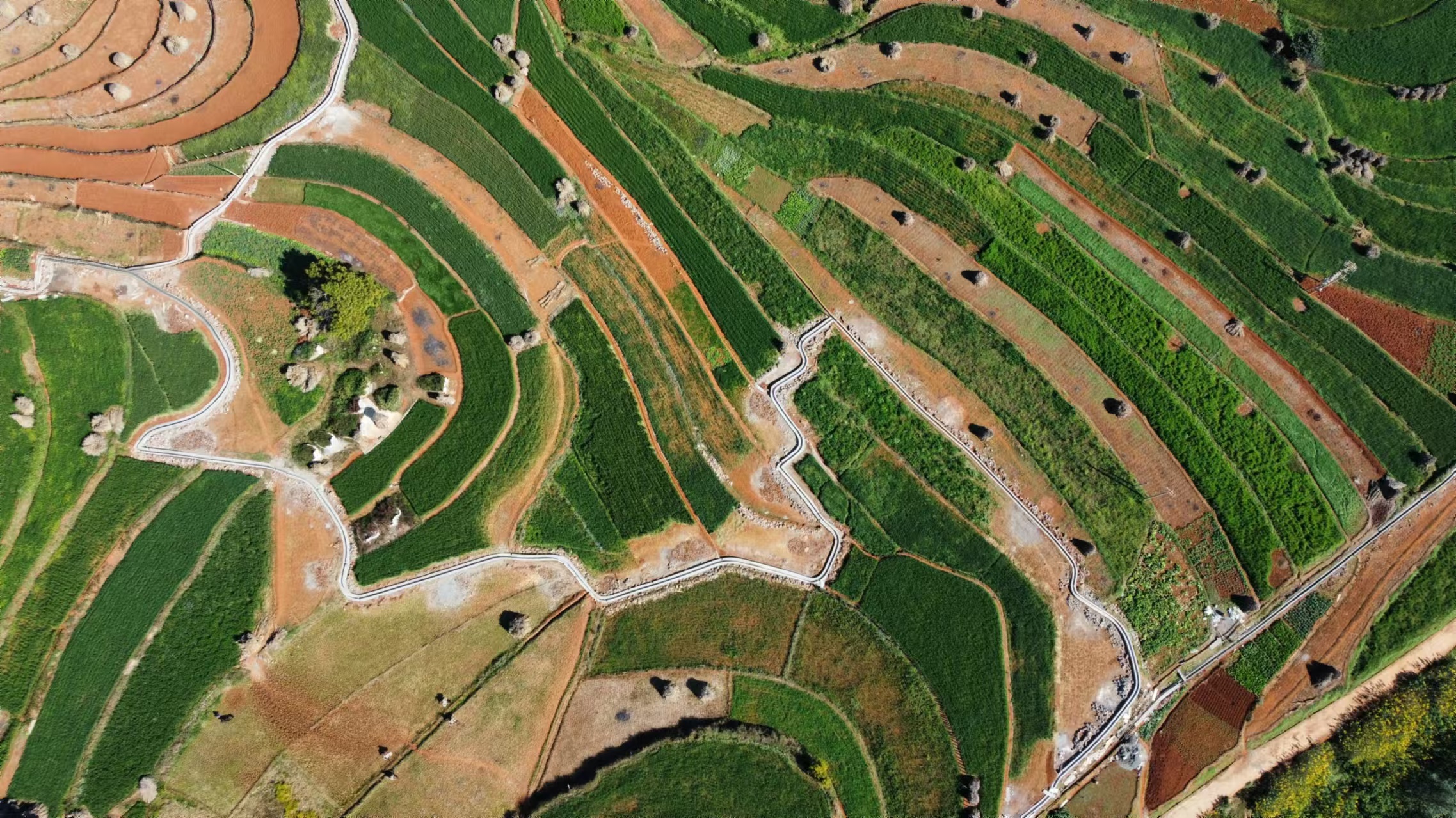 2024年度東川區(qū)高標(biāo)準(zhǔn)農(nóng)田改造提升建設(shè)項目